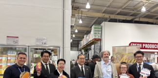 Thai Mango @ Costco UK