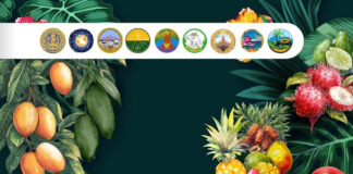 Exclusive Post-THAIFEX 2026 Sourcing Trip: Discover the “Treasure of Tastes” in Eastern Thailand